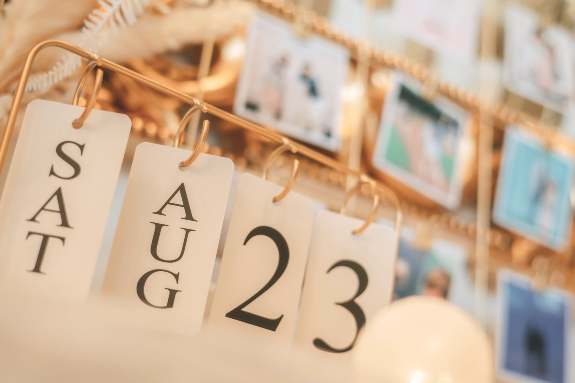 ウェディングレポート イメージ