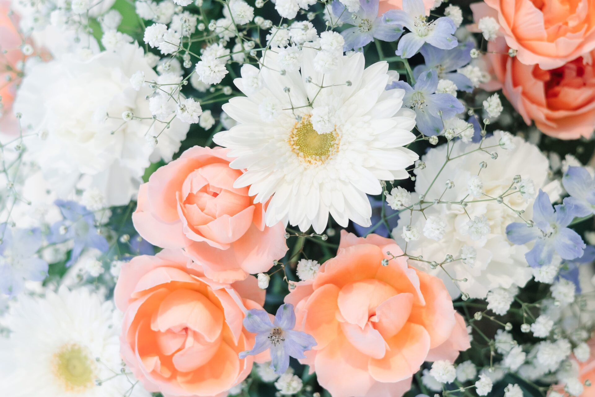 ウェディングレポート イメージ