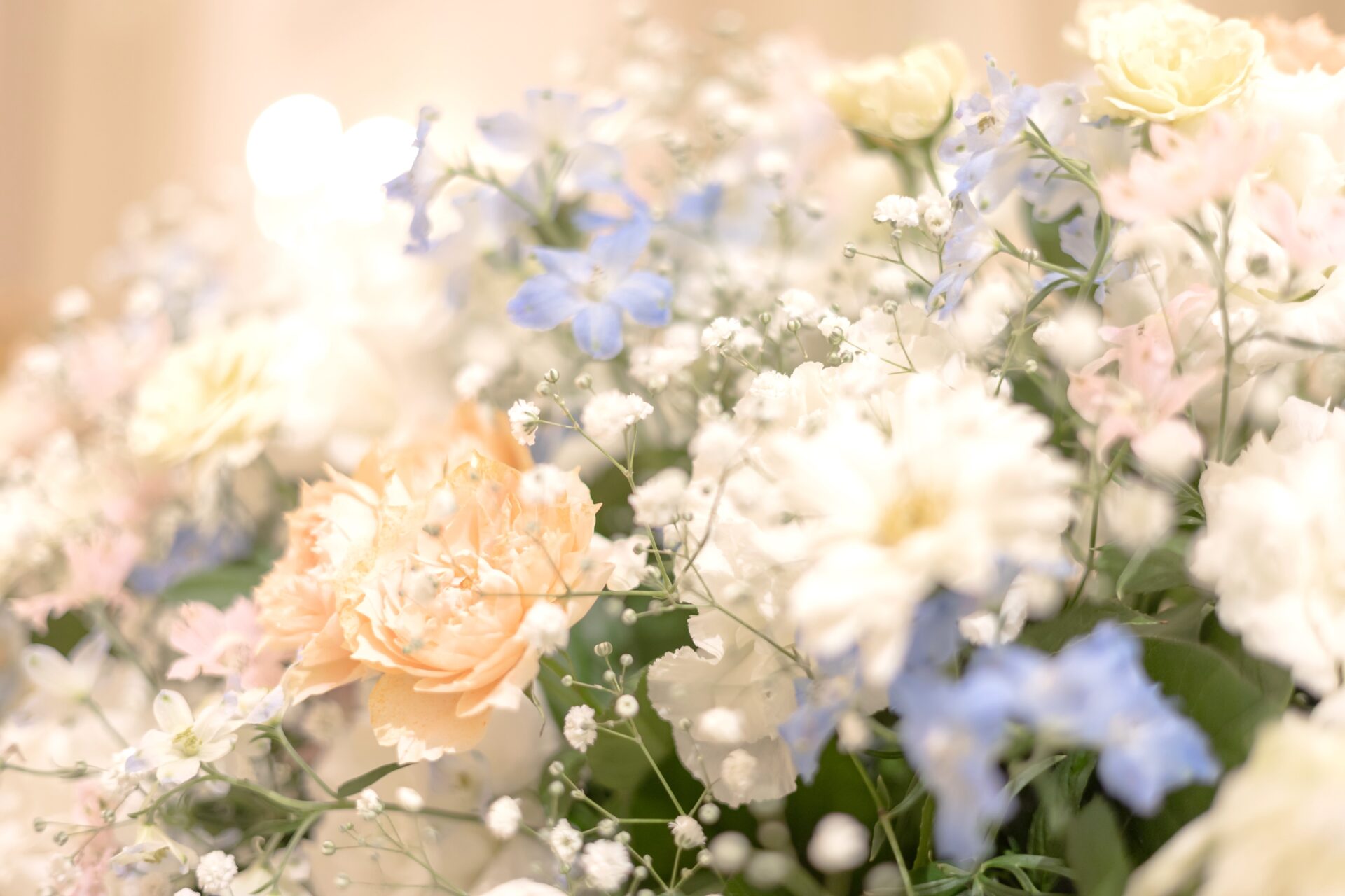 ウェディングレポート イメージ