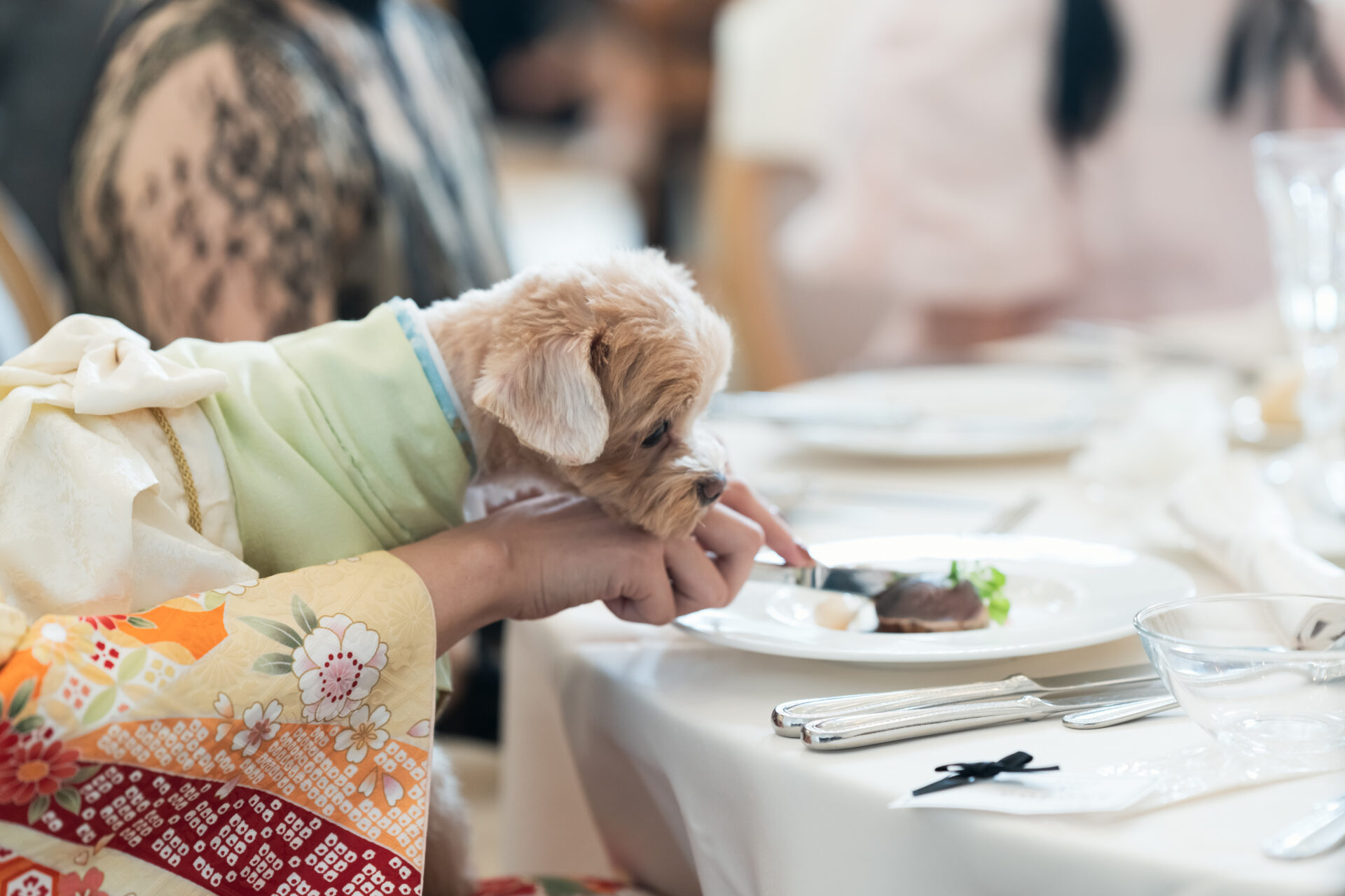 ウェディングレポート イメージ