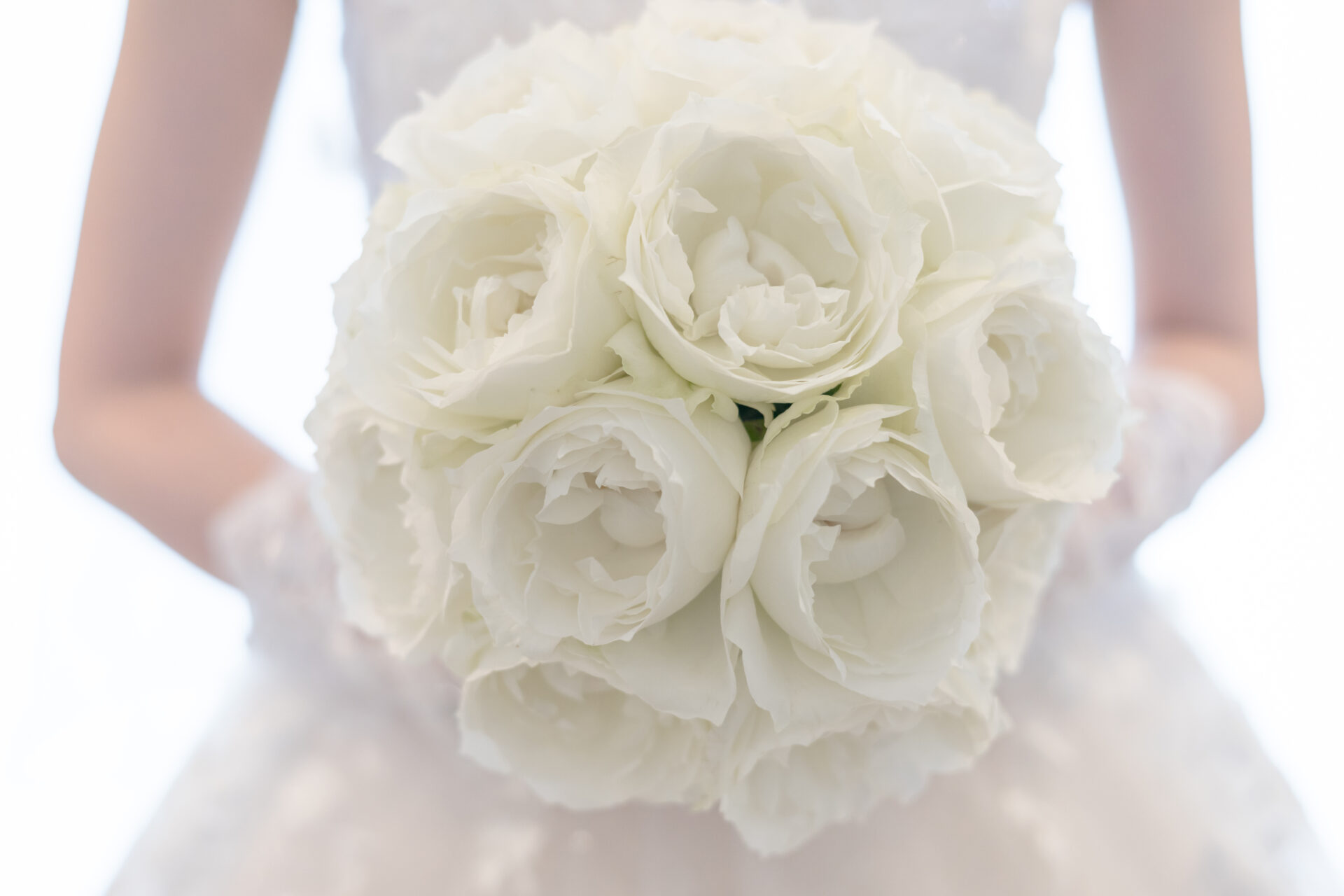 ウェディングレポート イメージ