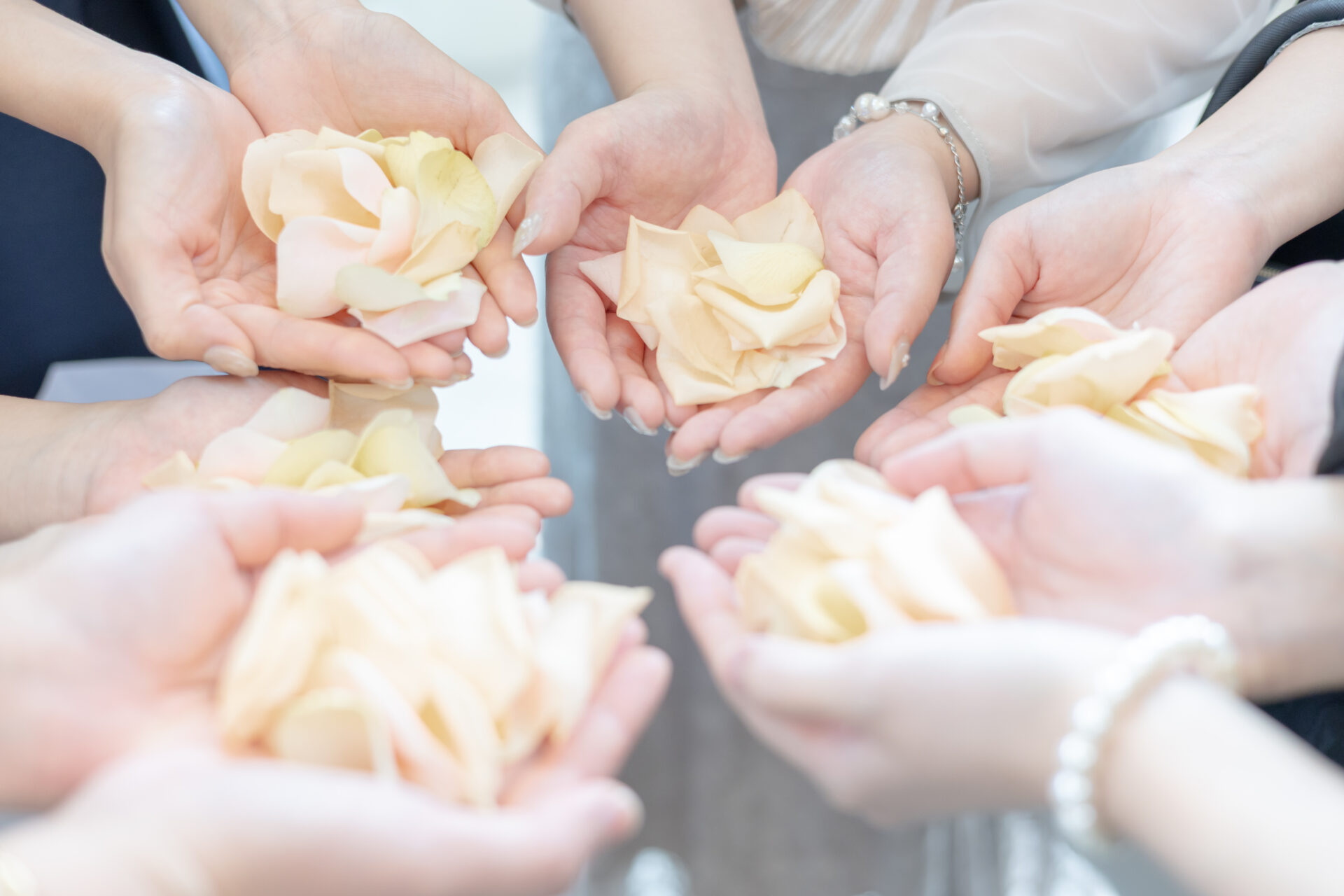 ウェディングレポート イメージ